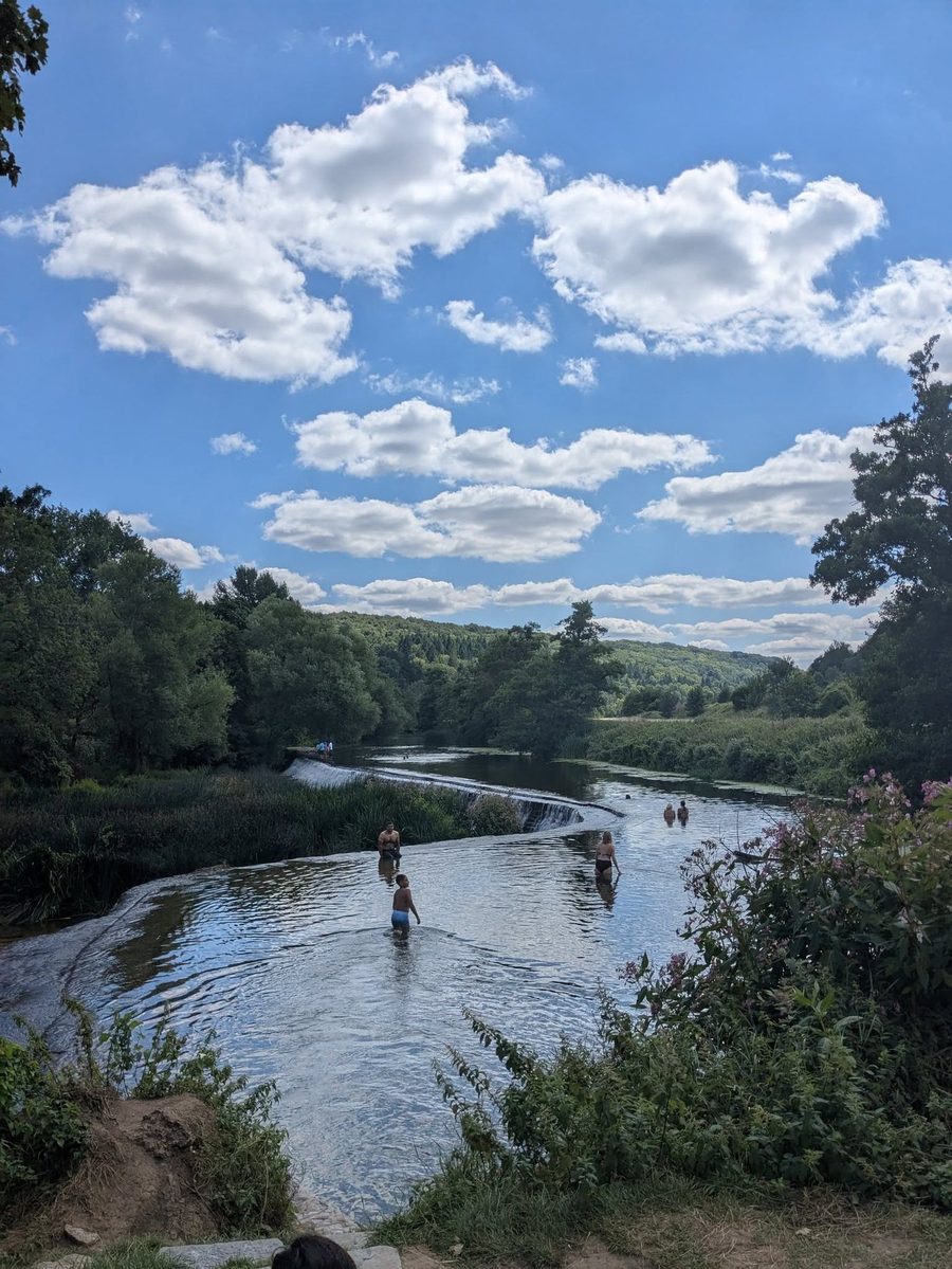 Warleigh Weir, the iconic wild swimming spot where it all began